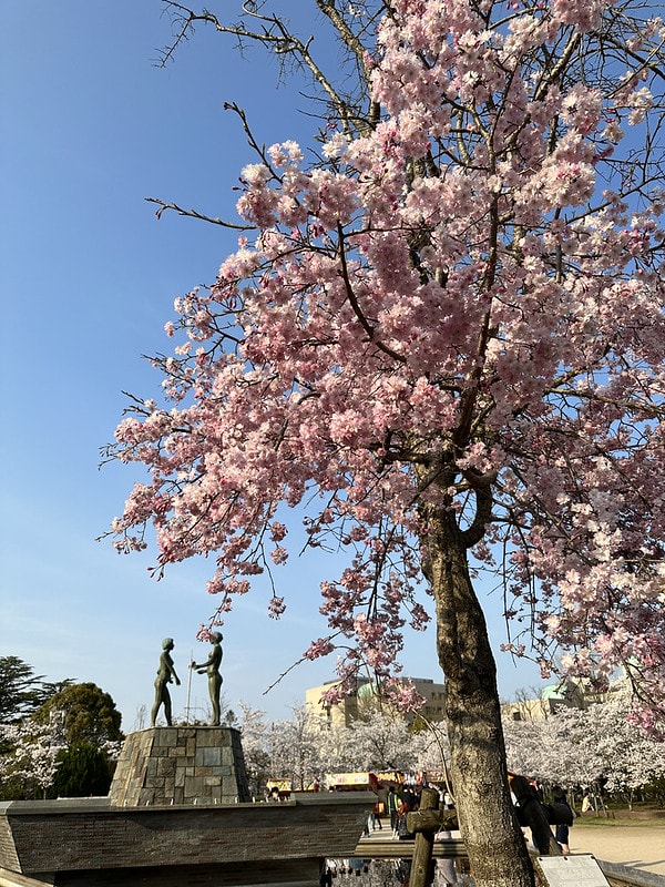 20251102-9lbvw 20251102-9lbvw