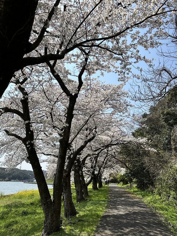 20251102-aksh6 20251102-aksh6