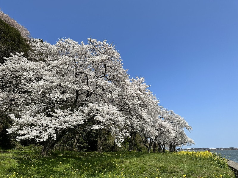 20251102-bckdd 20251102-bckdd