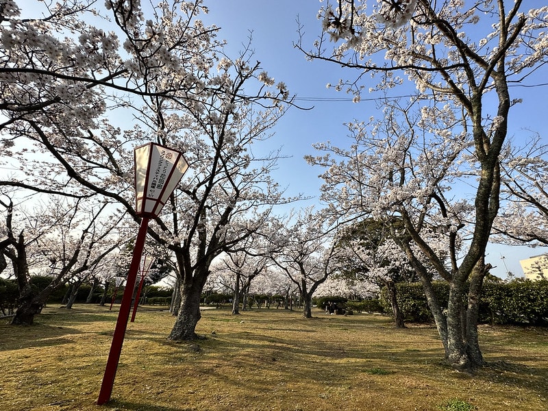 20251102-drs72 20251102-drs72