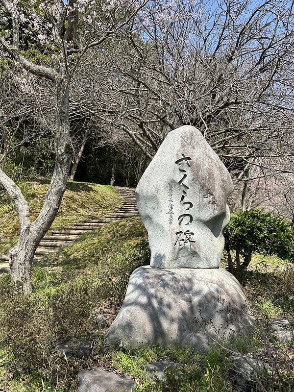 20251102-epzxo 20251102-epzxo