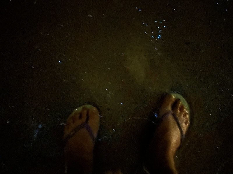 20251102-fnrd8 20251102-fnrd8