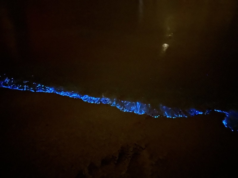 20251102-iz6ra 20251102-iz6ra