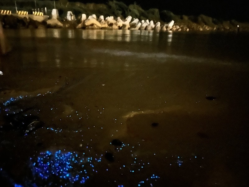 20251102-jser0 20251102-jser0