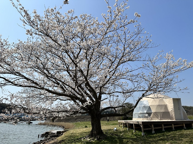 20251102-jzpjw 20251102-jzpjw