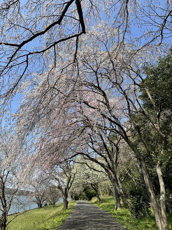 20251102-kqwyd 20251102-kqwyd