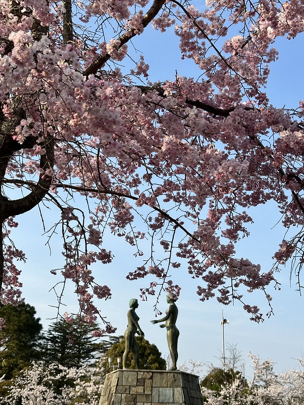 20251102-lc7qd 20251102-lc7qd