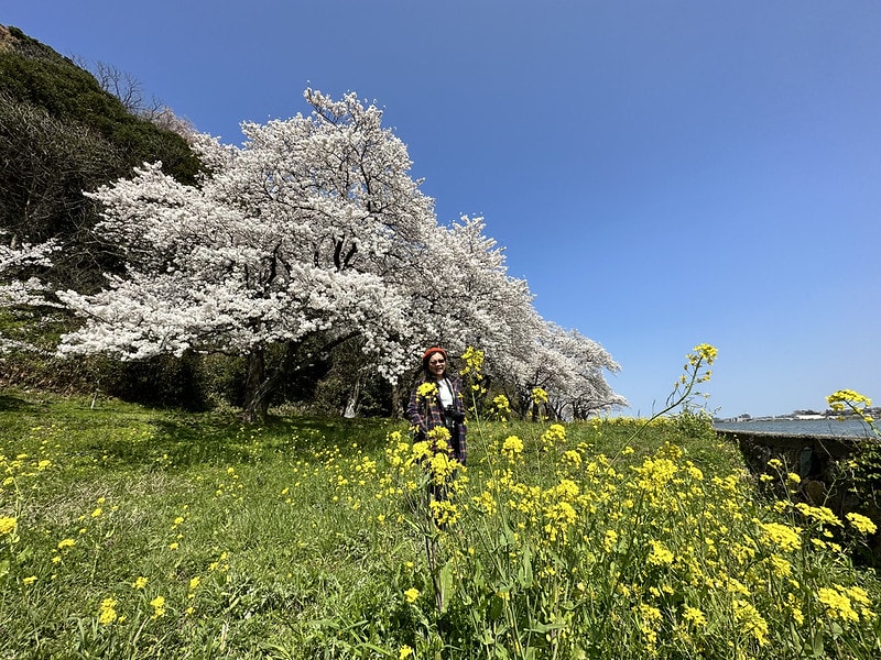 20251102-mlwyv 20251102-mlwyv