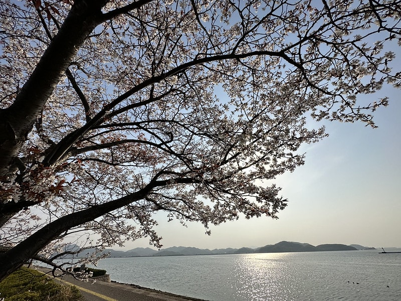 20251102-mlx1e 20251102-mlx1e