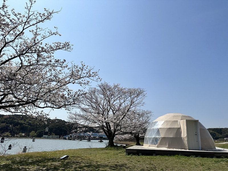 20251102-mxdlr 20251102-mxdlr