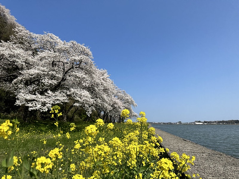 20251102-n5mg2 20251102-n5mg2