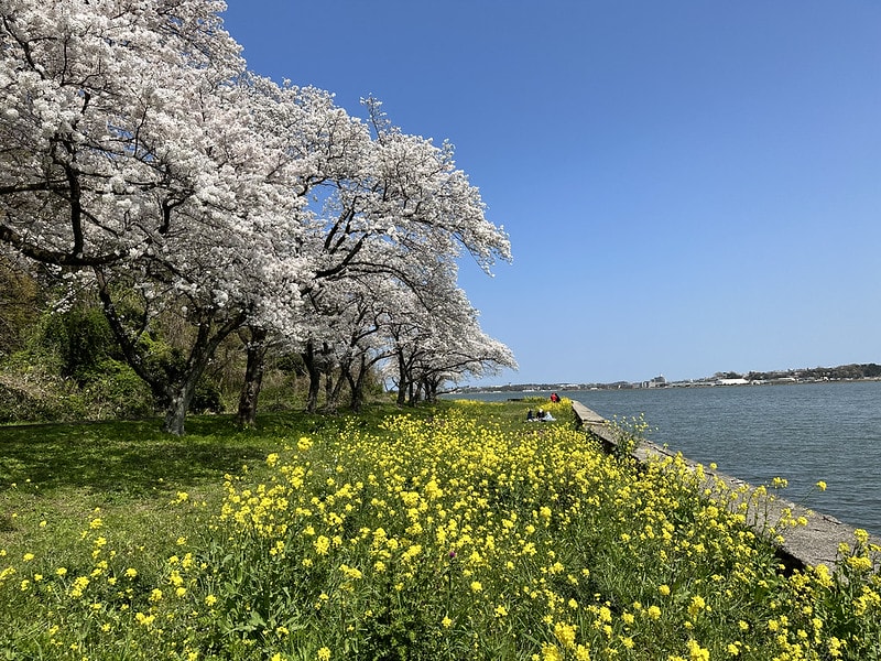 20251102-nask5 20251102-nask5