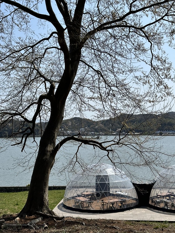 20251102-nfuz5 20251102-nfuz5