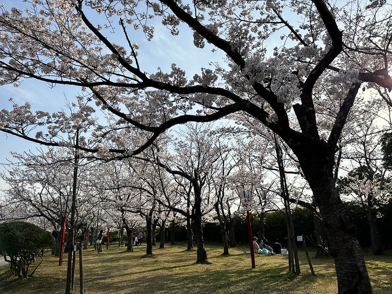 20251102-nnlhz 20251102-nnlhz