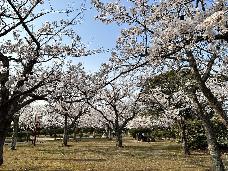 20251102-o021r 20251102-o021r