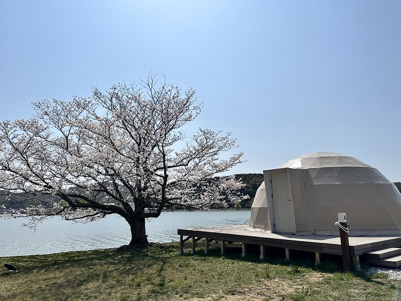 20251102-opf6h 20251102-opf6h