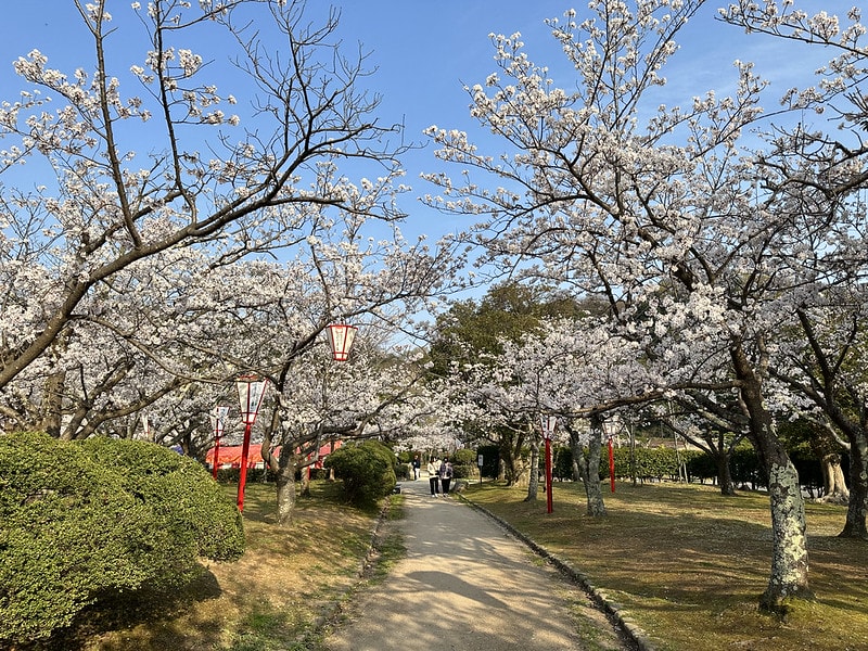 20251102-p519s 20251102-p519s