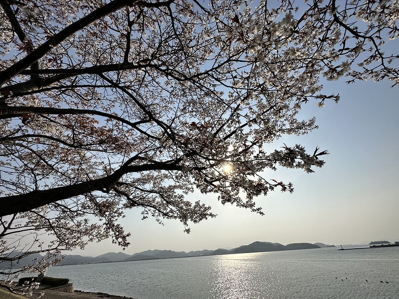 20251102-rl8zn 20251102-rl8zn