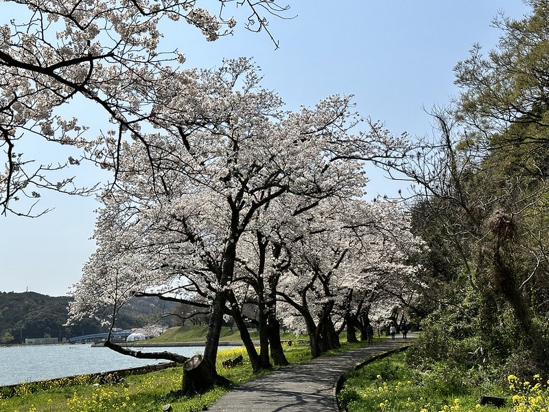 20251102-rqh77 20251102-rqh77