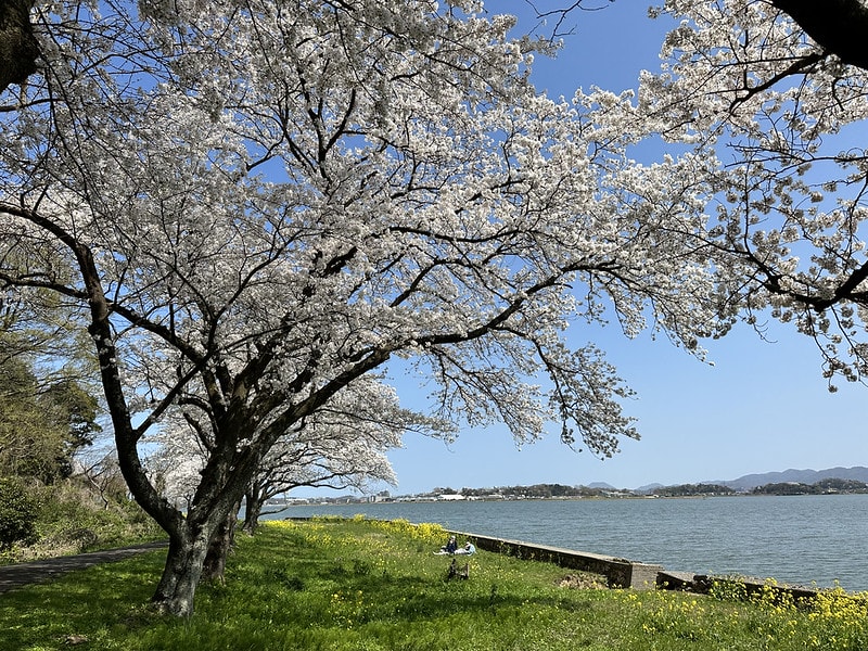 20251102-u28w4 20251102-u28w4