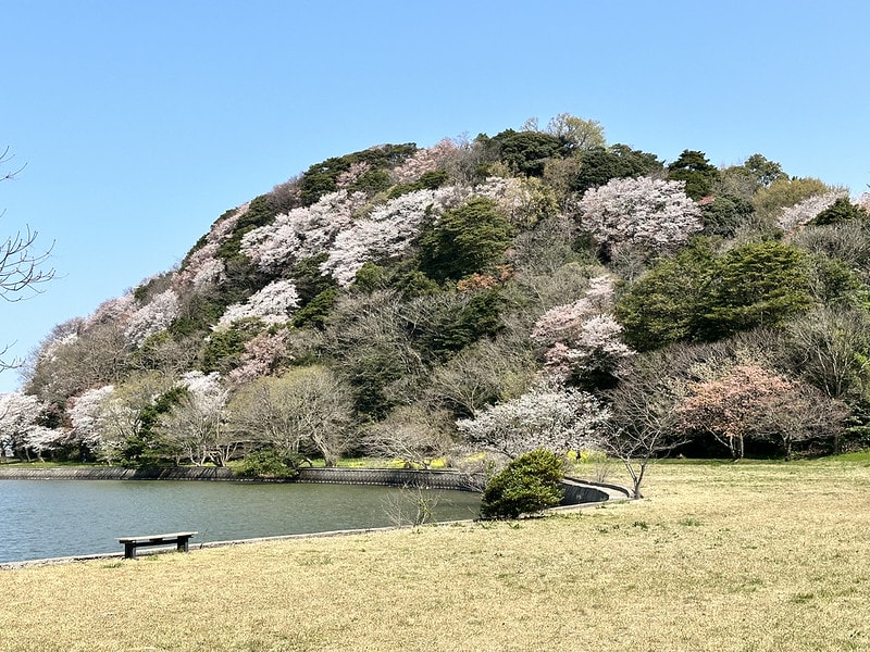 20251102-uhtcx 20251102-uhtcx