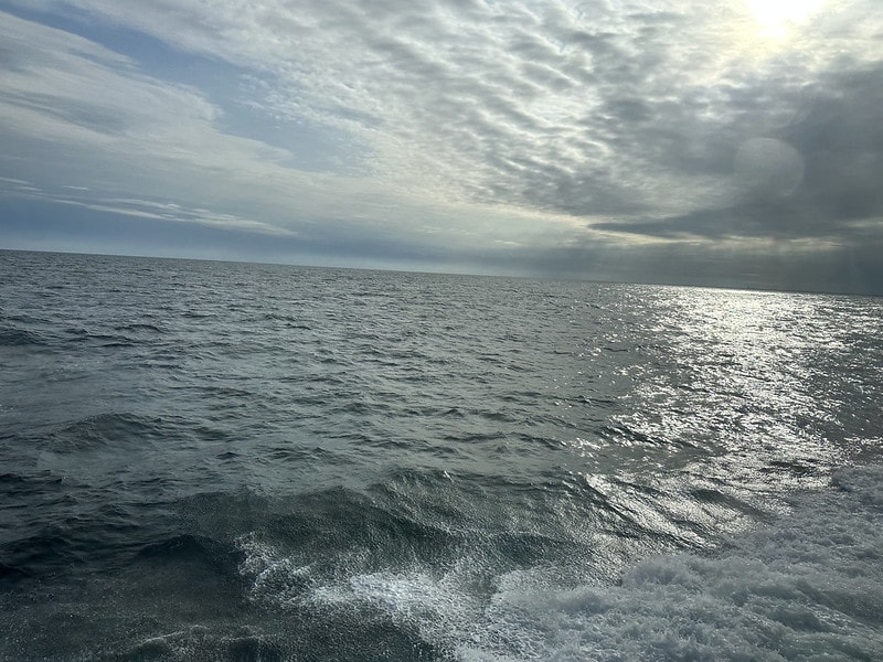 20251102-vjfgf 20251102-vjfgf