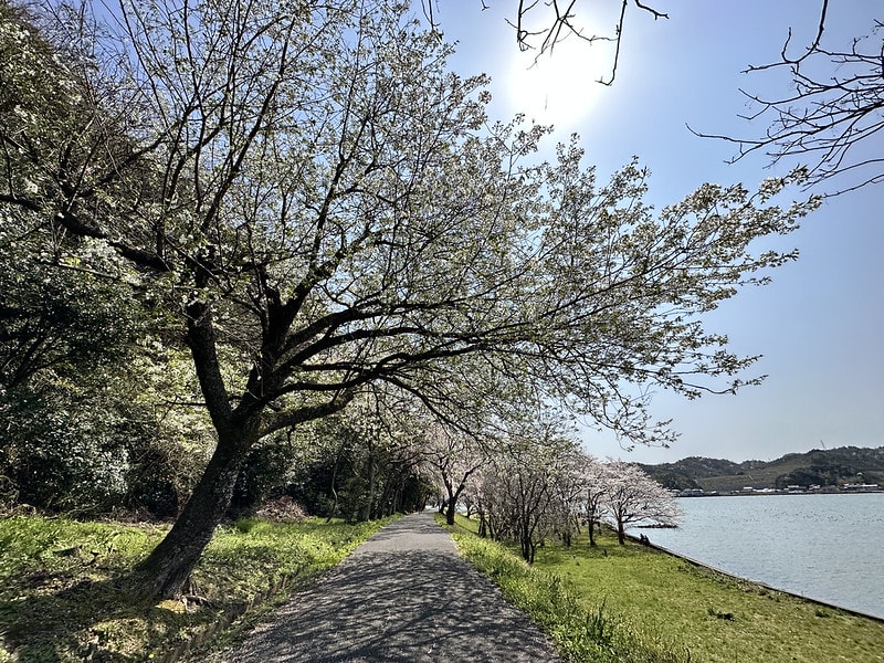 20251102-w1tk3 20251102-w1tk3