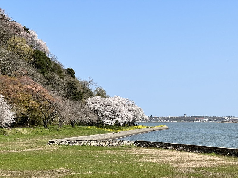 20251102-x7goy 20251102-x7goy