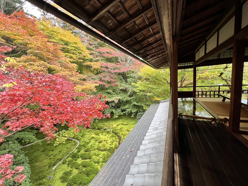 20251102-1yyu2 20251102-1yyu2