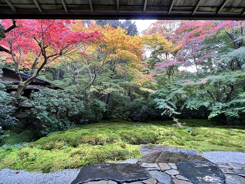 20251102-94vzd 20251102-94vzd