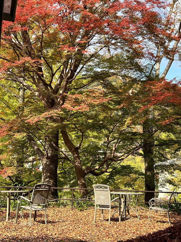 20251102-9cyw3 20251102-9cyw3