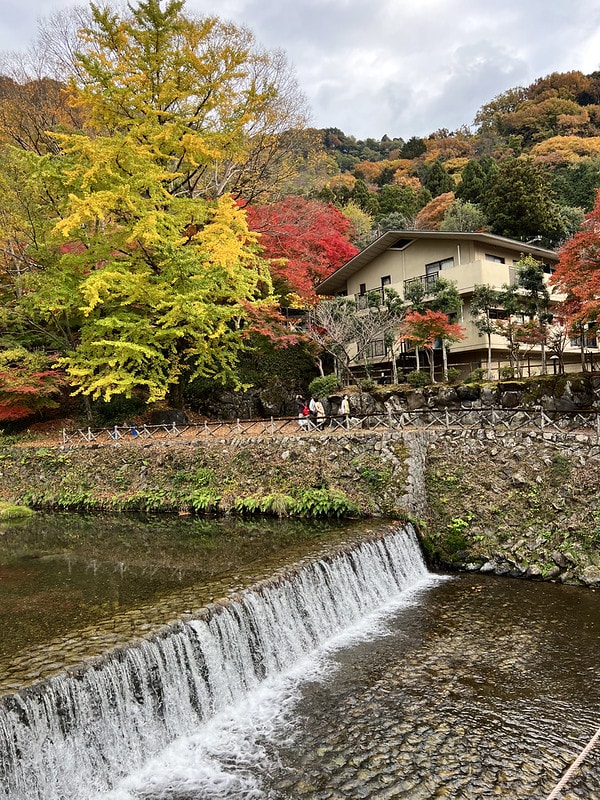 20251102-ii84k 20251102-ii84k