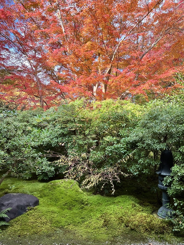 20251102-k2y0h 20251102-k2y0h