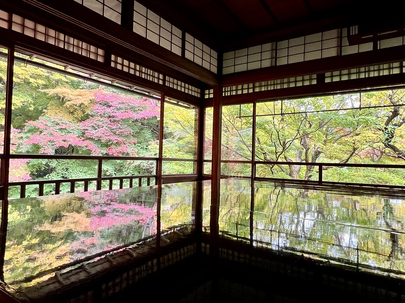 20251102-kijak 20251102-kijak