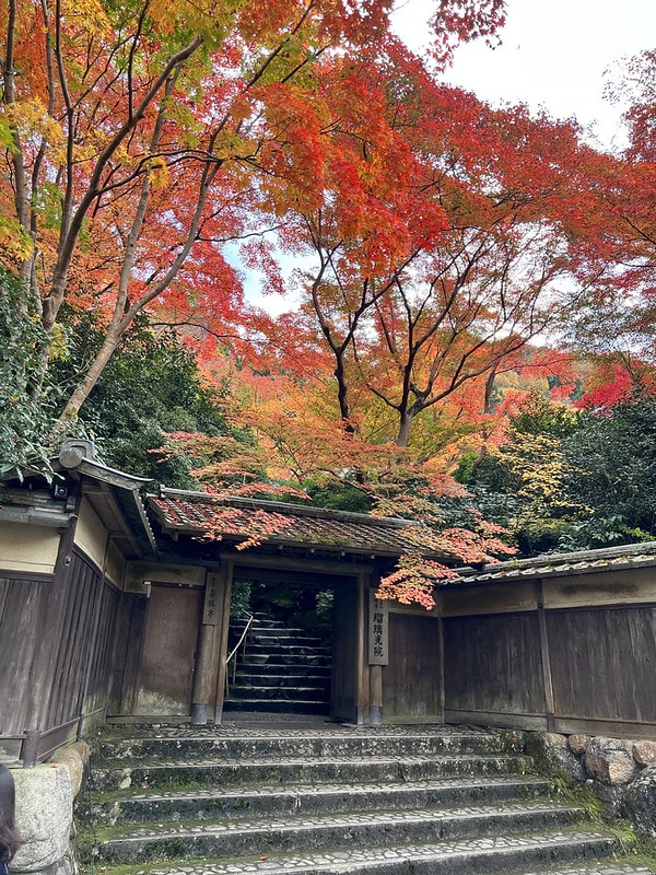 20251102-nz8rl 20251102-nz8rl