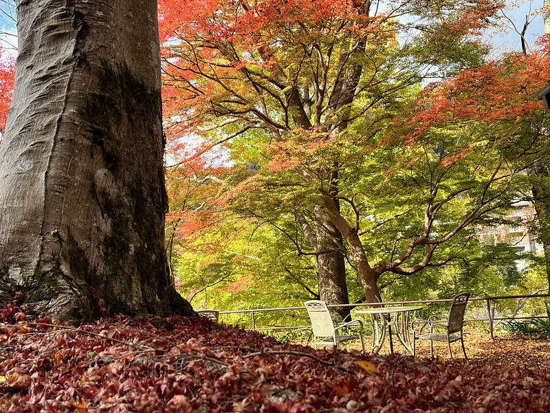 20251102-qus4u 20251102-qus4u