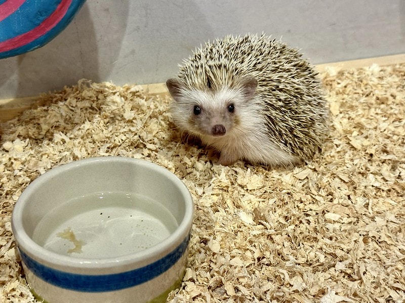 20251102-u3br4 20251102-u3br4