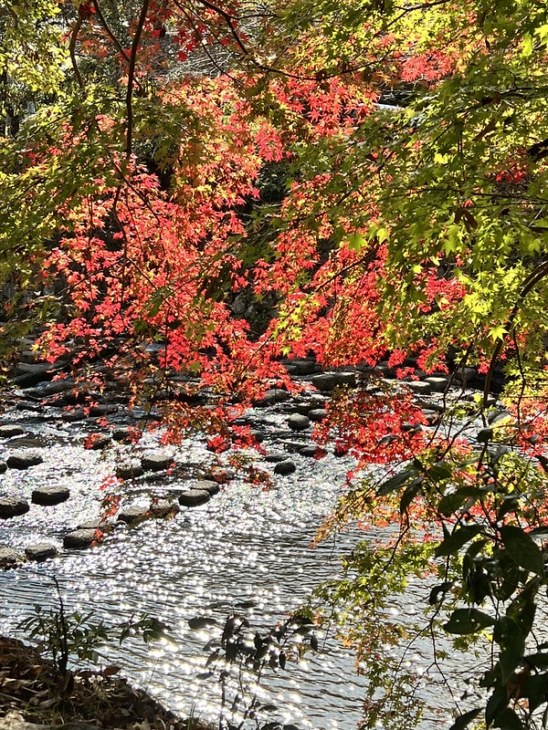 20251102-uqck6 20251102-uqck6