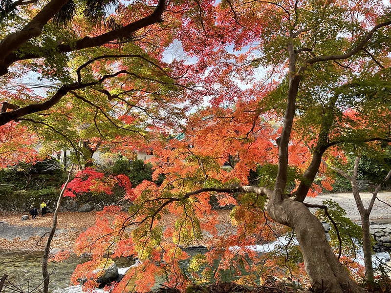 20251102-ynscd 20251102-ynscd