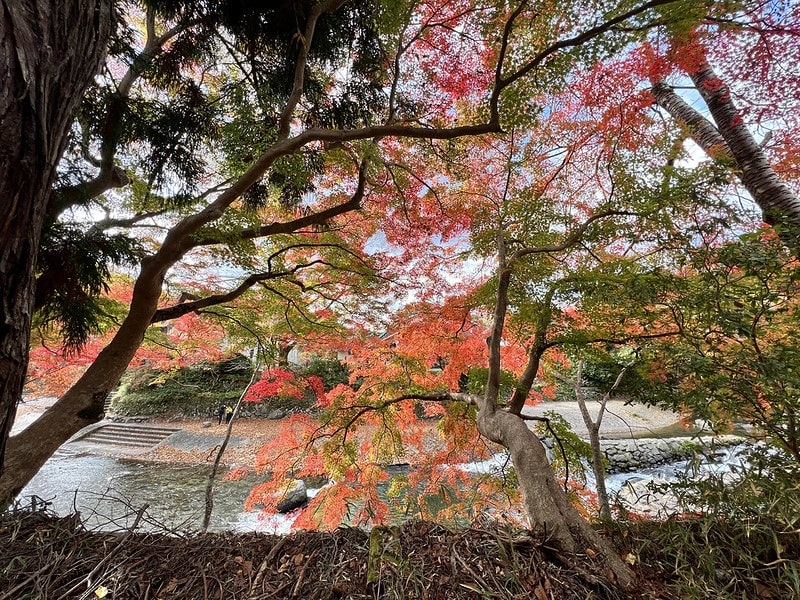 20251102-yovh3 20251102-yovh3