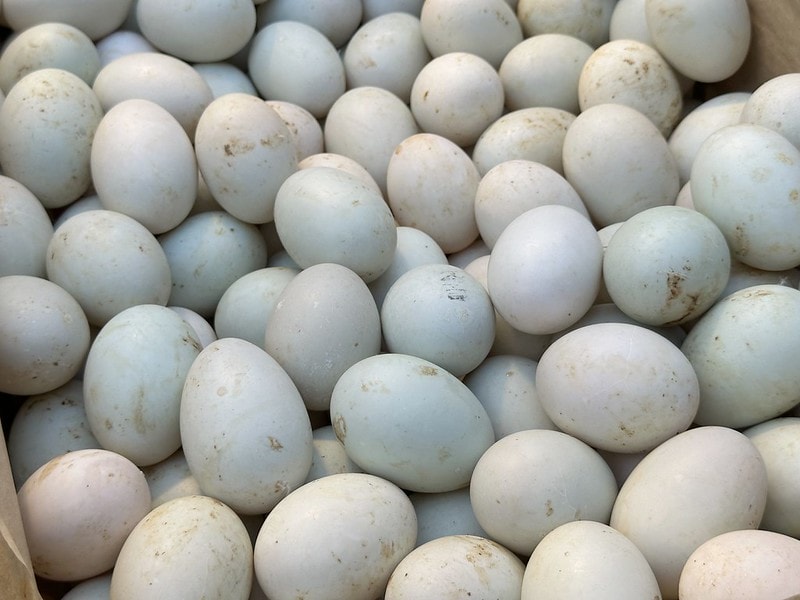 20251102-85nqy 20251102-85nqy