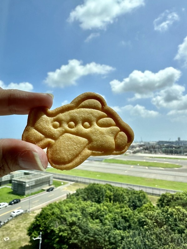 20251102-95fcl 20251102-95fcl