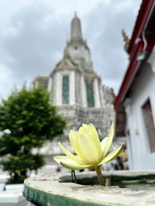 20251102-103gq 20251102-103gq