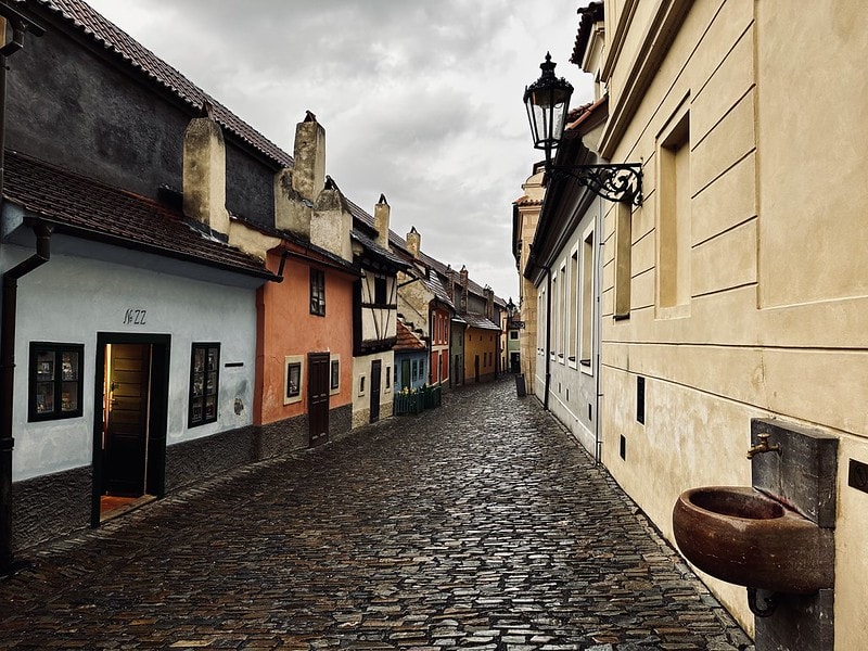 20251102-2a1l5 20251102-2a1l5