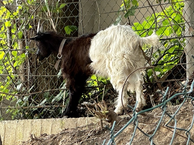 20251102-gxu3l 20251102-gxu3l