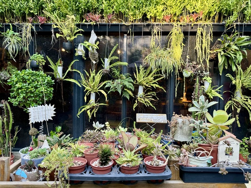 20251102-ffqcx 20251102-ffqcx