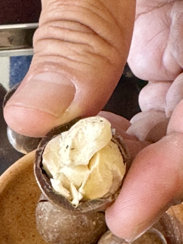 20251102-hw9fh 20251102-hw9fh