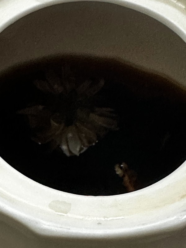 20251102-tbyhl 20251102-tbyhl