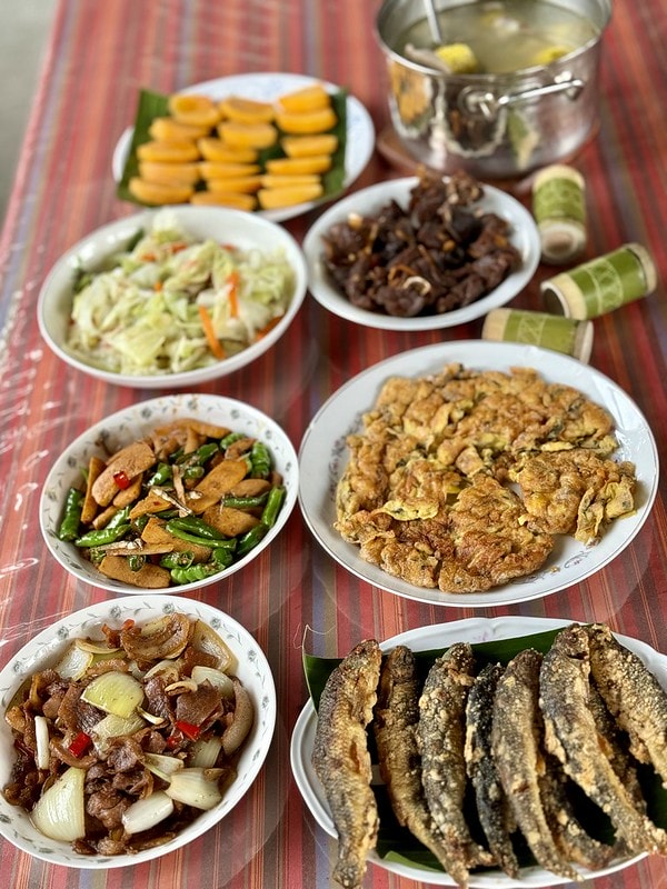 20251102-apc58 20251102-apc58