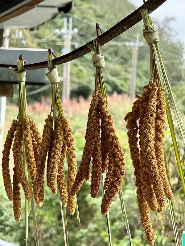 20251102-r7uca 20251102-r7uca